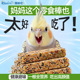 我和它鹦鹉专用磨牙棒谷物零食虎皮牡丹玄凤啃咬鸟粮玩具训练奖励