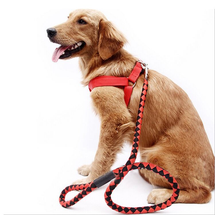 带背胸狗绳狗链子金毛萨摩耶泰迪宠物用品牵引绳遛狗绳