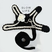 茶杯犬超小体奶狗幼犬幼猫小猫牵引绳小型犬约克夏1斤小狗狗绳子