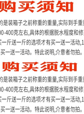 网红情人草干花超大束粉色蓝色天然真花家居摆设客厅装饰花束