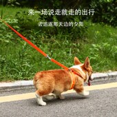 狗狗牵引绳背心式 胸背带溜小型中型大型犬宠物狗绳金毛链子防咬断