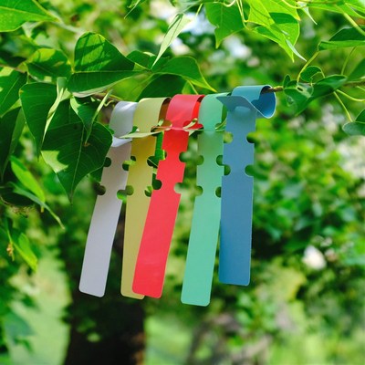 园艺多肉标签牌植物花名分类吊牌塑料标签防水环扣式果树标记牌子