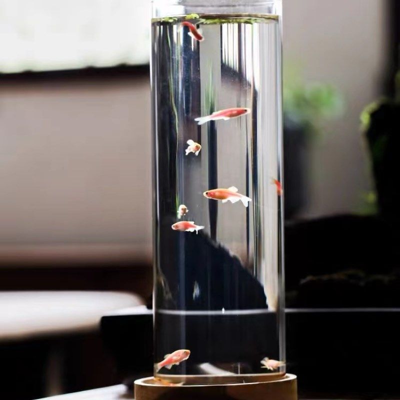客厅办公室金鱼缸透明乌龟缸水培创意加厚直筒玻璃鱼缸圆柱形大号,宠物/宠物食品及用品,生态瓶/创意缸/微景缸,淘宝优惠券,粉丝福利购,淘宝优惠卷