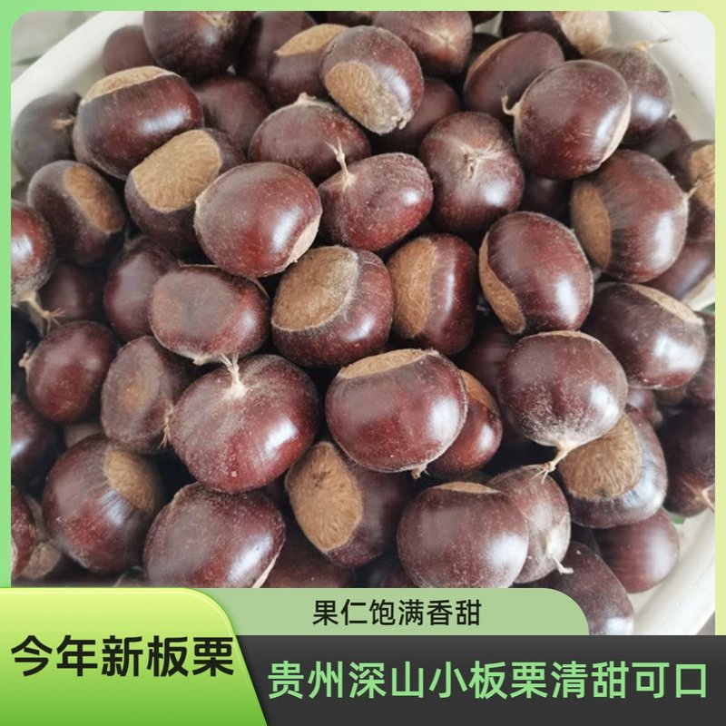 好剥皮贵州高山新鲜小板栗油栗栗子带壳野板栗小板栗