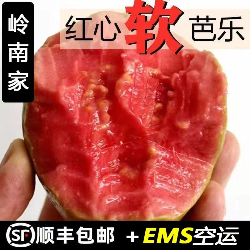 香软大果广西软心红心番石榴新鲜水果红心软芭乐净重1/3/5斤