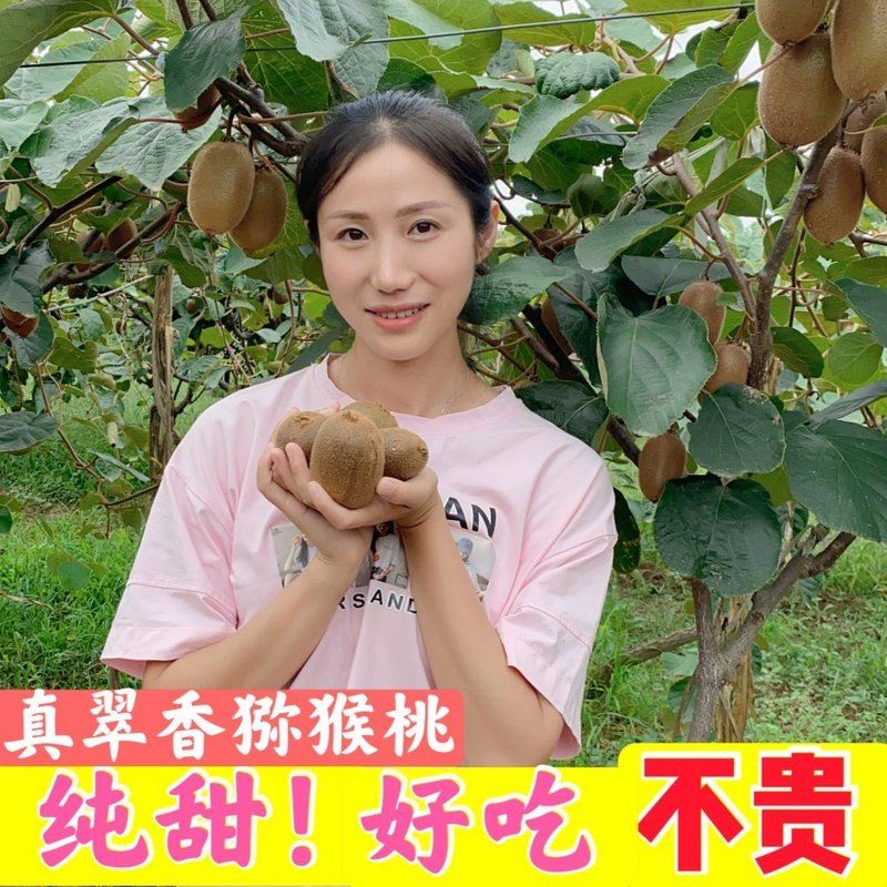 京东快递陕西周至翠香猕猴桃新鲜应季净重4.8斤整箱包邮