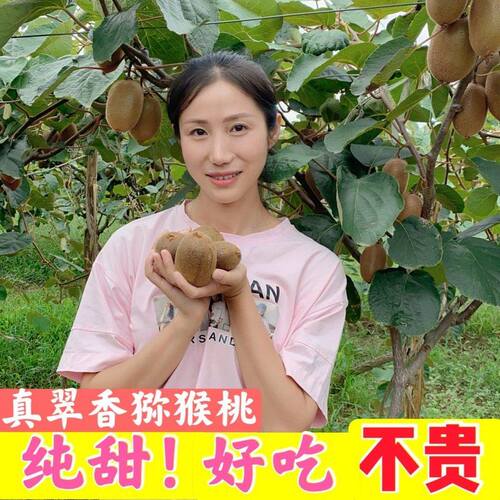 京东快递陕西周至翠香猕猴桃新鲜应季净重4.8斤整箱包邮