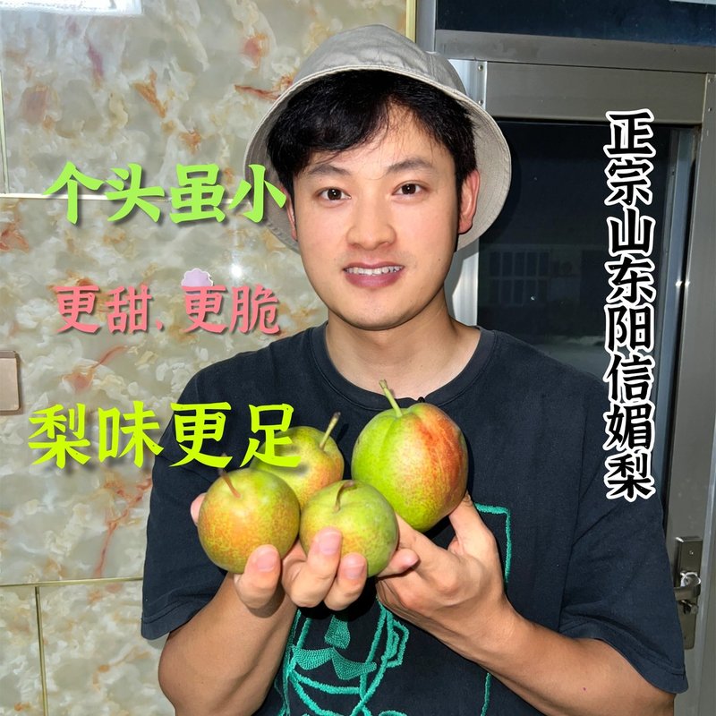 蜂糖媚梨超级甜来自鸭梨之乡阳信纯甜不酸皮薄多汁新鲜脆嫩