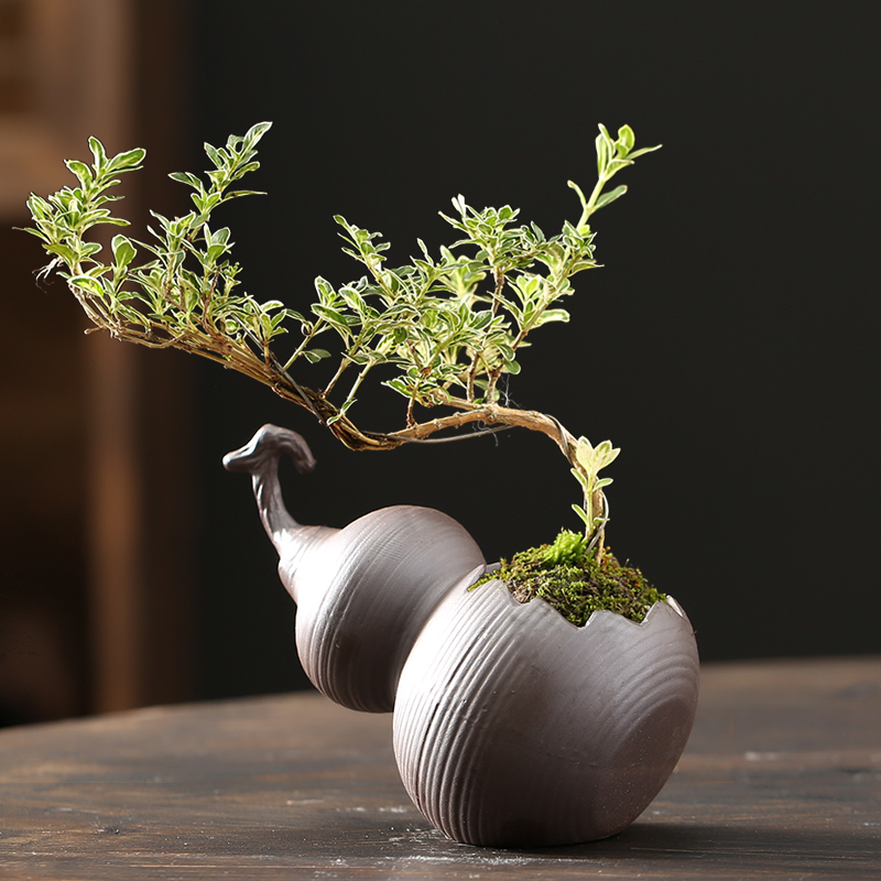 葫芦多肉花盆紫砂陶瓷粗陶透气创意盆景盆栽绿植小叶紫檀榕树老桩