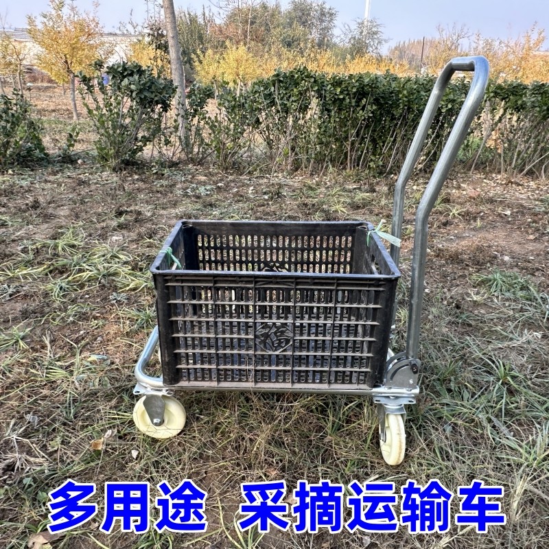 新款农用大棚瓜果蔬菜移动采摘运输车懒人可携式推拉工具车折叠式,农机/农具/农膜,其它农用工具,淘宝优惠券,粉丝福利购,淘宝优惠卷