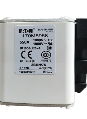 熔断器170M5952/5953/5954/5955/5956/5957/5958/5959/5960/5961