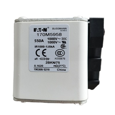 熔断器170M5952/5953/5954/5955/5956/5957/5958/5959/5960/5961