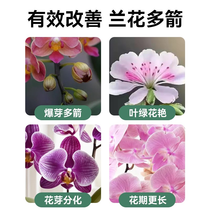 兰花专用肥蝴蝶兰君子兰文心兰营养液兰科多箭素兰灵王植物肥料