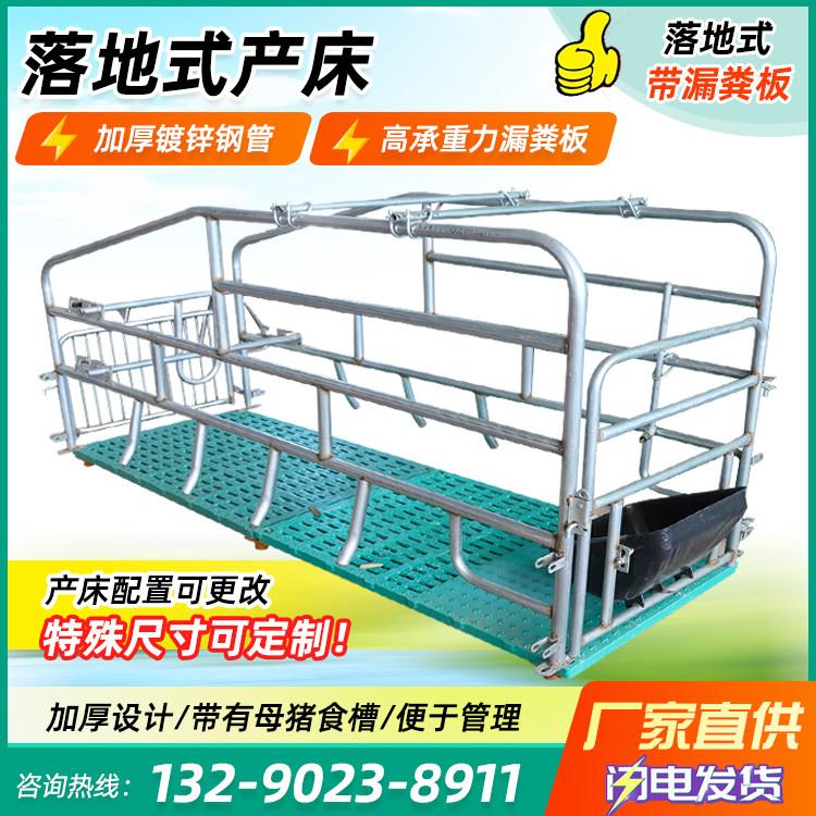 落地式母猪产床槽产保两用单体产床定位栏固定栏母猪产床养殖设备