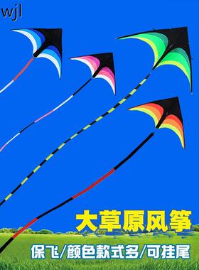 超级风筝新款大草原巨型夜光灯大人大型专用抗大风2024年专业晚上