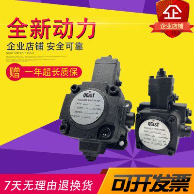QCIST秦川奇思特VVP40D/70叶片泵VVP15B/55油泵VVP30D/35 20D/70