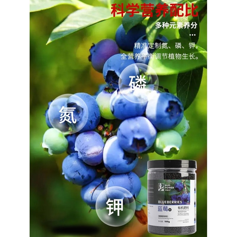 蓝莓专用肥家庭园艺肥料蓝莓肥料专用肥蓝莓树肥料阳台盆栽有机肥