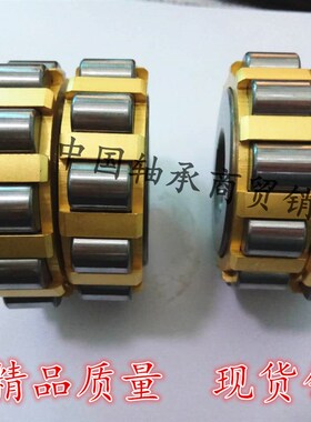 减速机整体偏心轴承50752202 70752202  80752202 100752202K 130