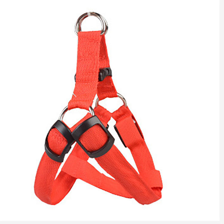 狗狗LED发光胸背 牵引绳背心式遛狗链子秋天夜光狗绳小型 USB充电