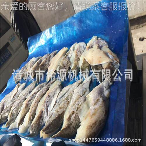预制菜鲤鱼油炸机 浆黄鲤油炸机器 炸带鱼段花鱼挂VBH的鱼设备