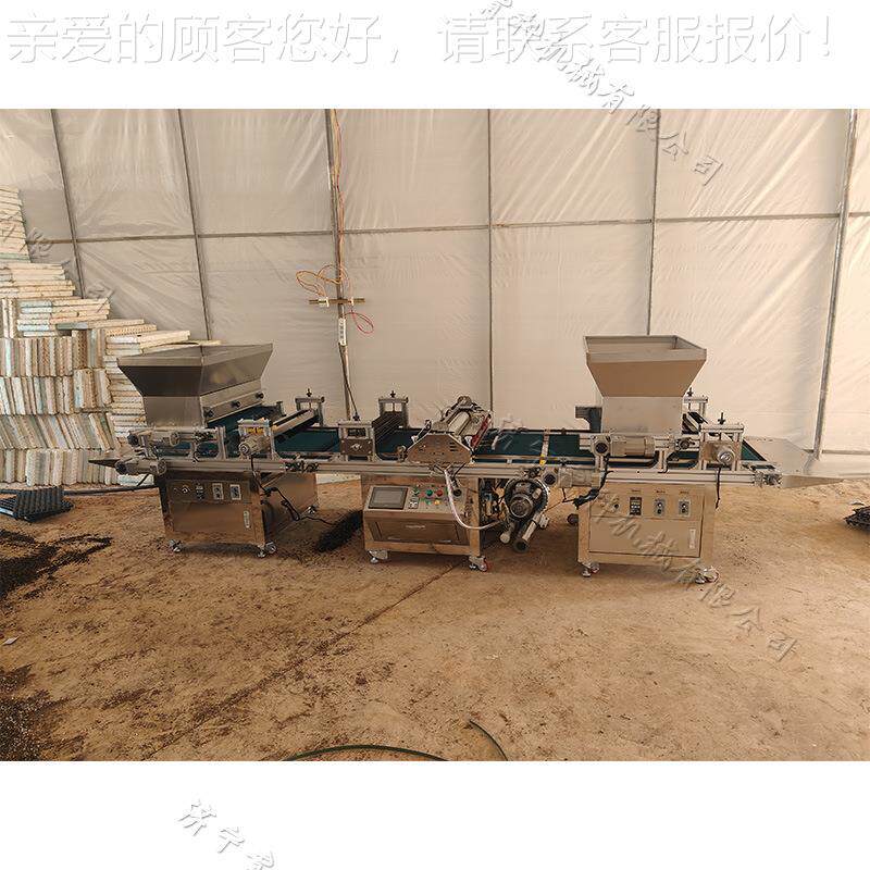滚筒式穴盘铺苗播种机蔬菜子育秧点籽机育种苗WND盘土播种一育体