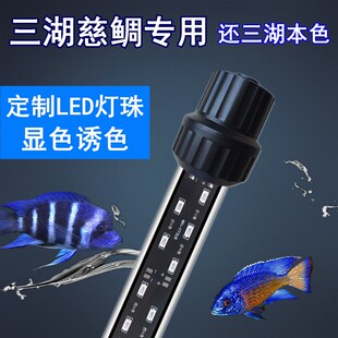 三湖慈鲷专用鱼缸灯潜水灯冷白引色发色蝴蝶萨伊增艳专业水族灯