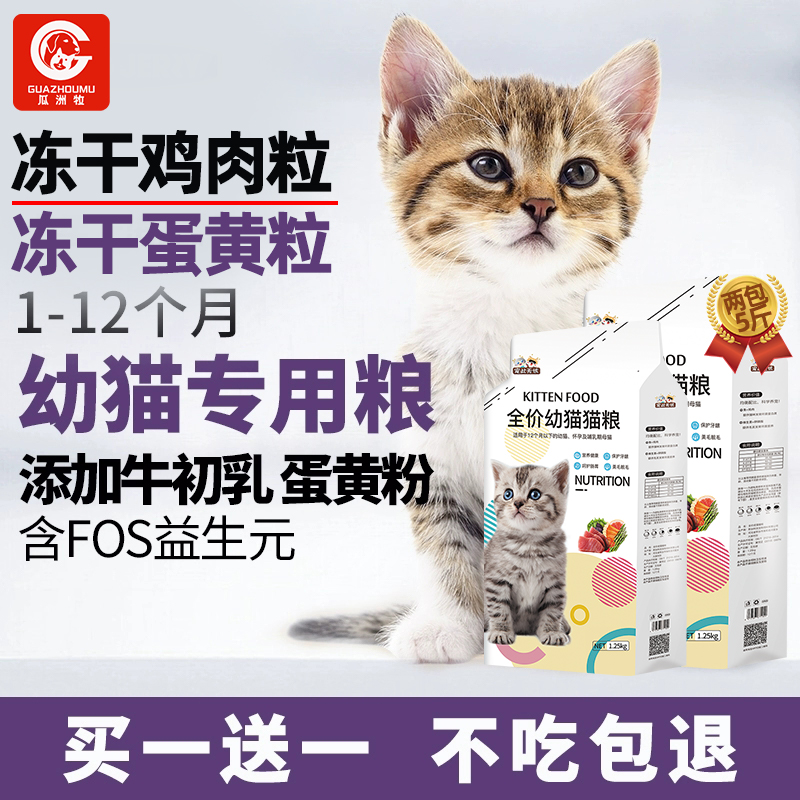 猫粮幼猫专用粮补钙发腮营养1到3月冻干4到12月增强抵抗小猫奶糕