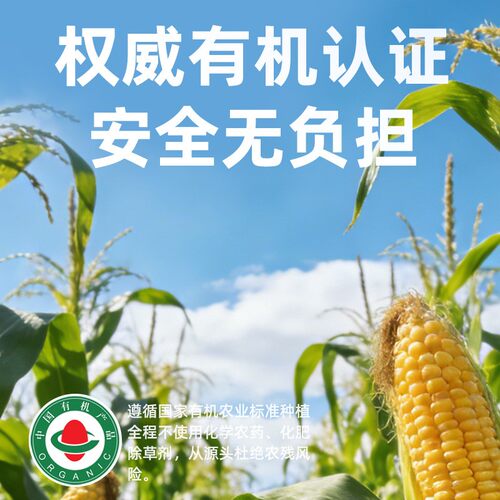 野三坡有机玉米面粉玉米粉饼子苞米面粉杂粮全麦面粉粗粮窝窝头粉