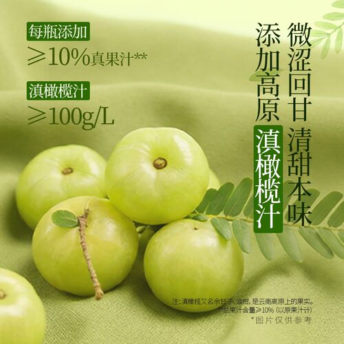 【夏季新品】可可满分 云南油柑生普茶  果汁茶 夏季清爽解腻