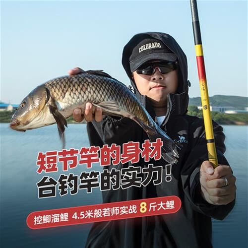 超短节钓鱼竿袖珍溪流竿鲫鱼手竿短节超轻超硬迷你便W携19调小手