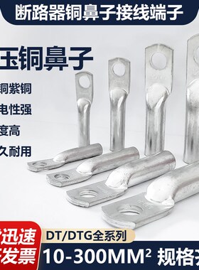 管压鼻 断路器铜鼻子 DTG-10/25/35/120/15R0 平方接线端子 线耳