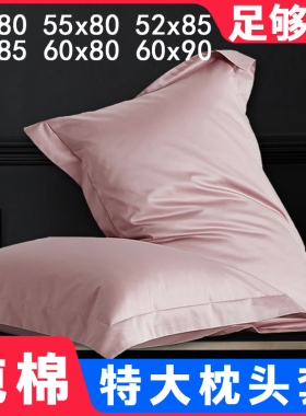 枕套大尺寸50x80一对装纯棉60x90特大酒店专用枕头套加大号65x85