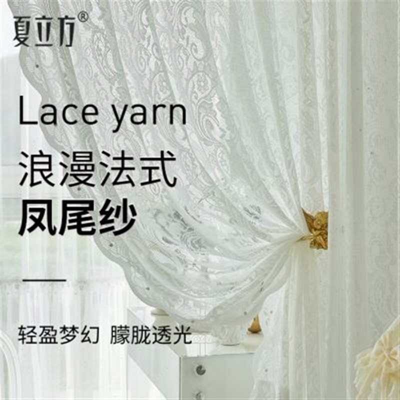 夏立方定bc制窗帘卧室客厅浪漫法式纱帘蕾丝亲肤透光不透人网红布