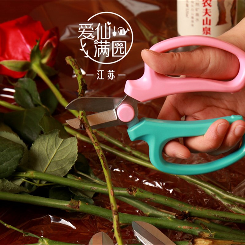 包邮花剪园艺剪刀修枝剪枝剪园艺工具插花修剪花绿植鲜花花艺剪