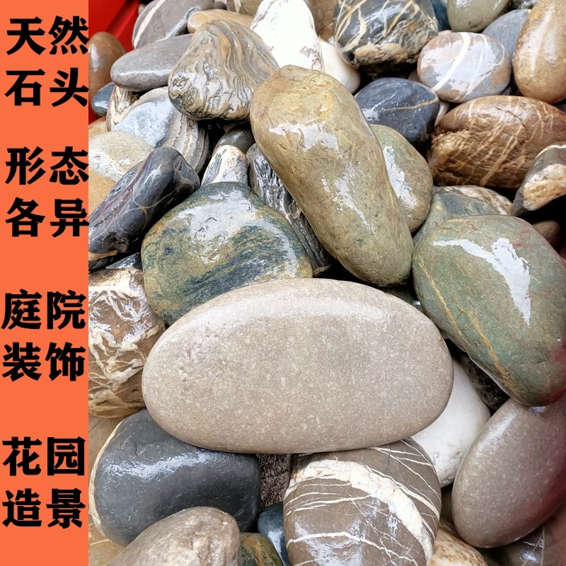 天然超大水族鹅卵石头晒台三湖慈鲷鱼缸底砂围边造景彩绘庭院装饰