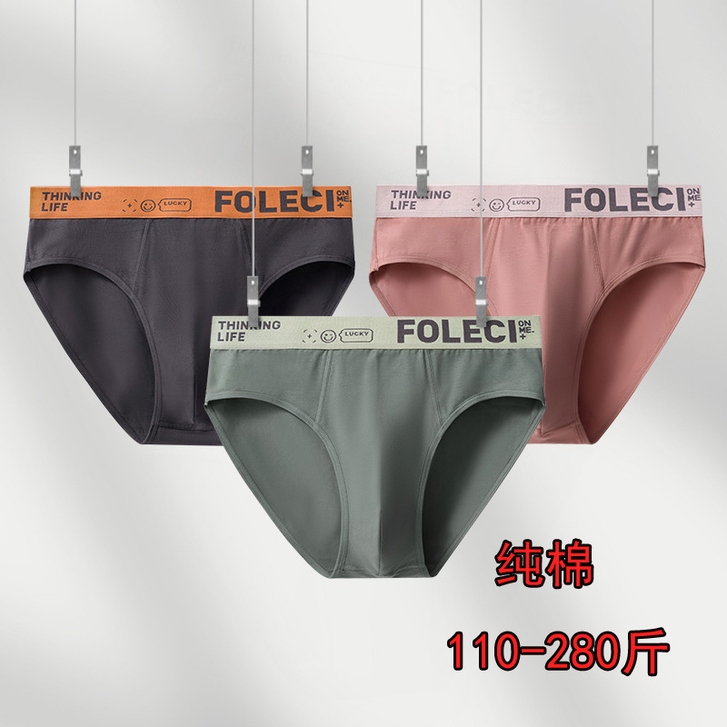 2条装 纯棉三角内裤男全棉透气吸汗抗菌内档加肥加大码裤头安全裤