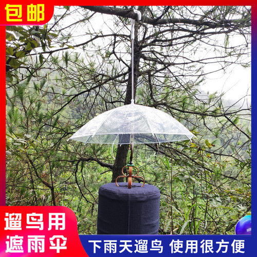 下雨遛鸟雨伞 透明雨伞不档光 简单易用雨天放鸟专用遮雨伞