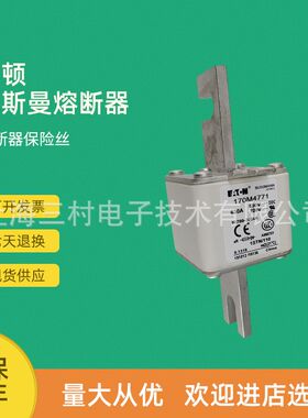 全新原装现货快速熔断器保险丝断路器170M4866D L170M4867D 4908
