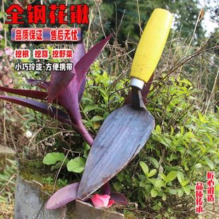 尖头尖铲园艺铲栽种树起苗花锹种菜工具园林绿化小铲子栽菜神器