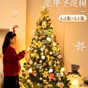 饰摆件绿色大型1.8 圣诞树家用商加密1.5米发光套餐圣诞节装 1.2米