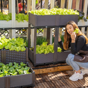 阳台蔬菜种植箱家庭菜园户外楼顶室内种菜种花花盆加宽塑料种菜盆