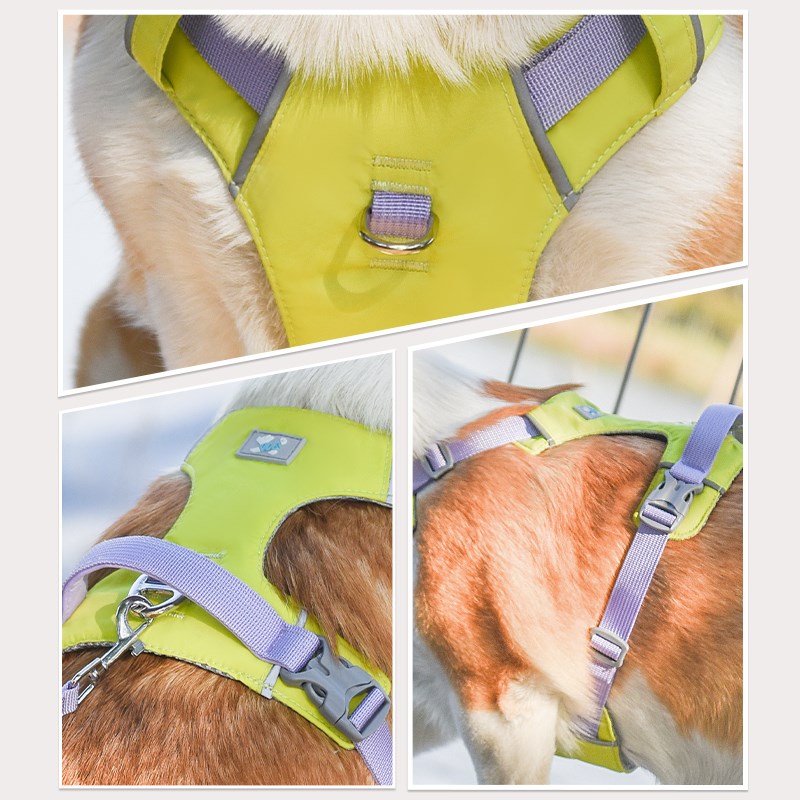狗狗牵引绳背心式狗链胸背带小中大型犬金毛柯基泰迪外出绳子