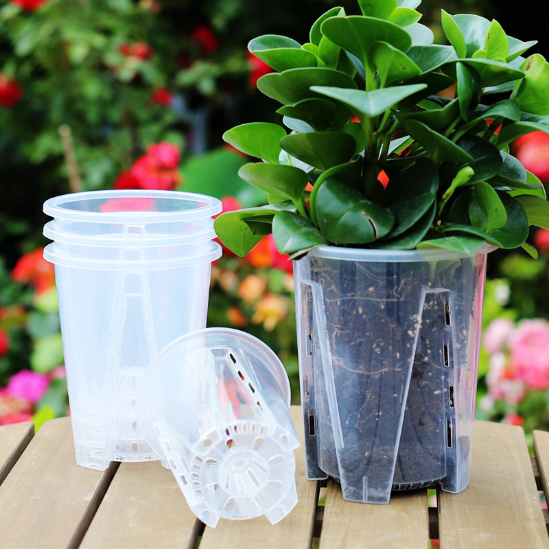 控根蝴蝶兰花盆塑料透气海芋花烛蔓绿绒镂空青山花盆2023新款