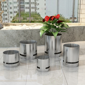 盆精致美观室内外种植小盆绿萝多肉办公室盆