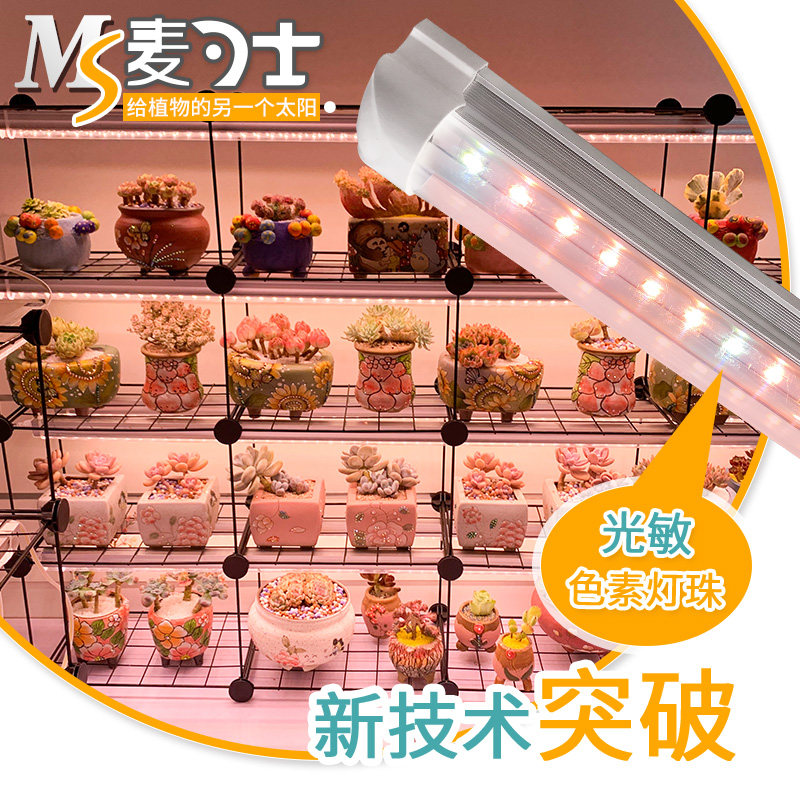 多肉补光灯全光谱组培育苗卉上色防徒长生长灯