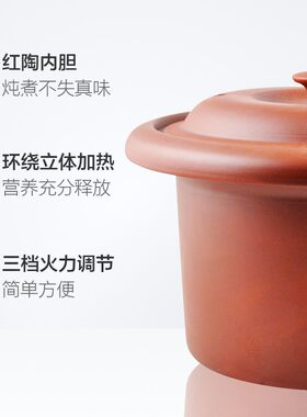 天际Z电炖锅砂锅电炖盅煮粥锅煲汤养生紫砂L插电家用炖汤锅