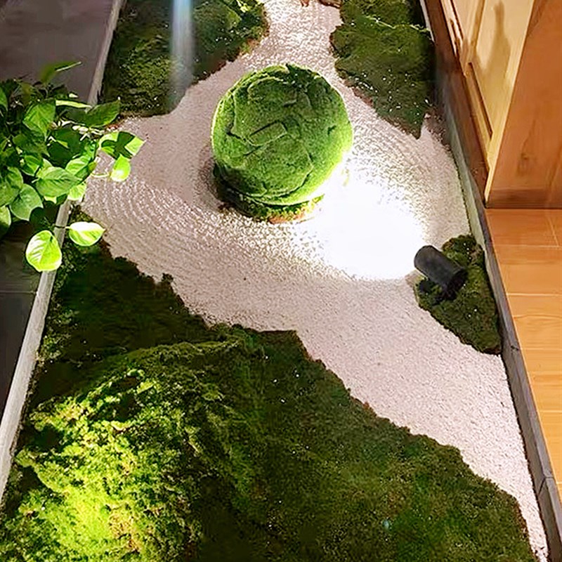 青苔包假苔藓室内微景观造景套装仿真草坪绿植墙植物墙面装饰绿化