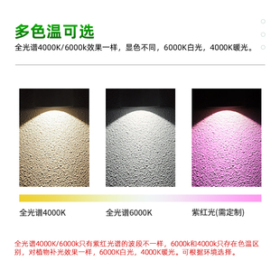 LD室内夹子款生长灯O全光谱定时水草补光仿太阳光照灯