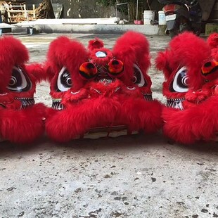 南狮行童狮 人童狮 儿童醒狮 小狮子 儿童舞狮