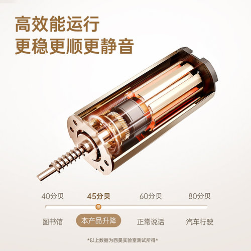 西昊智能升降桌 附USB插槽家用升降电脑桌 环保板材设计学习桌